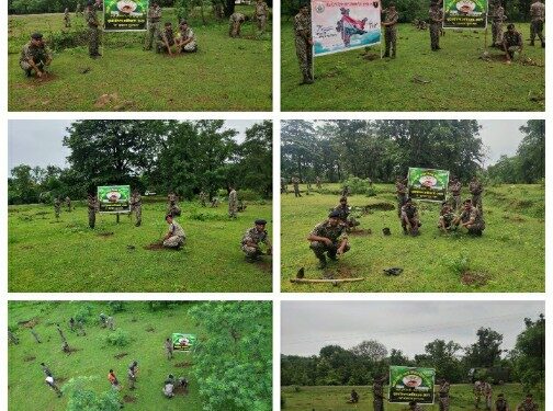 *40वीं वाहिनी भा०ति०सी०* *पुलिस बल बुढ़ानभाट विशाल वृक्षारोपण अभियान*
