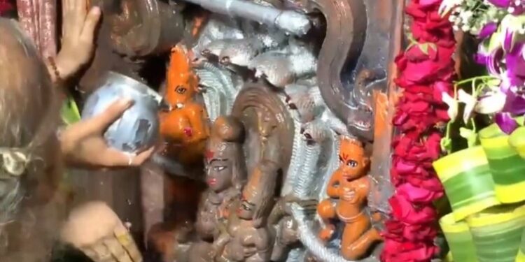 नाग पंचमी पर भगवान श्री नागचंद्रेश्वर के दर्शन के लिए मध्य रात्रि में पट खुले श्री महाकालेश्वर ज्योतिर्लिंग में VIDEO