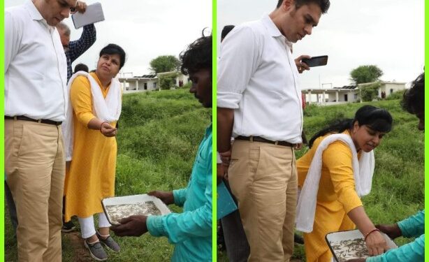 कलेक्टर श्री प्रसाद ने विकासखण्ड बहोरीबंद के  मत्स्य बीज प्रक्षेत्र कूडन पहुंचकर  मत्स्य बीज का अवलोकन*  *बीज दर एवं पैकिंग की ली जानकारी*