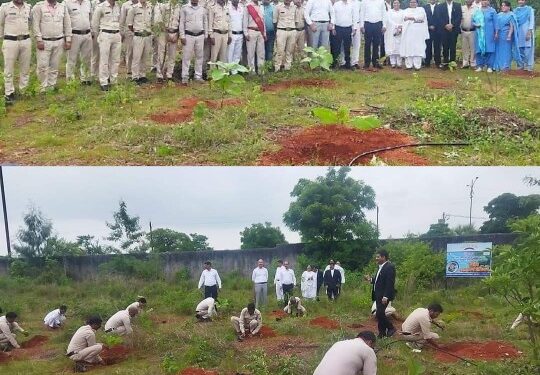 जिला न्यायालय परिसर में चतुर्थ श्रेणी कर्मचारियों ने बढ-चढ़ कर किया पौधारोपण