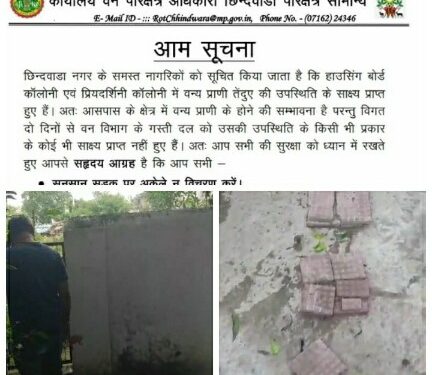 छिंदवाड़ा *तेंदुआ, सोशल मीडिया और मजे… ये किसी के लिए सजा भी…*