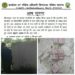 छिंदवाड़ा *तेंदुआ, सोशल मीडिया और मजे… ये किसी के लिए सजा भी…*