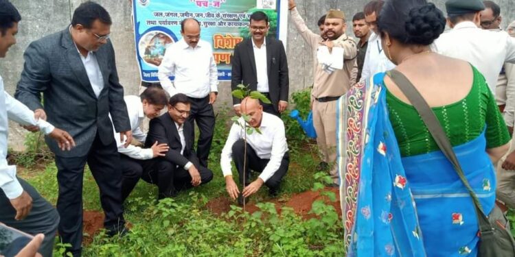 पर्यावरण संरक्षण अभियान के अंतर्गत जिला न्यायालय परिसर कटनी में आयोजित हुआ वृक्षारोपण कार्यक्रम