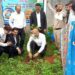 पर्यावरण संरक्षण अभियान के अंतर्गत जिला न्यायालय परिसर कटनी में आयोजित हुआ वृक्षारोपण कार्यक्रम