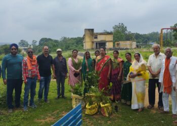 *पिछड़ा वर्ग मोर्चा डोंगरगढ़ ने किया वृक्षारोपण*