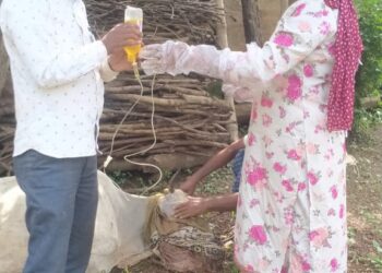 सुअर बम खाने से दो गाय घाय  गोसलपुर थाना अंतर्गत की हदयनगर घटना