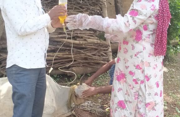 सुअर बम खाने से दो गाय घाय  गोसलपुर थाना अंतर्गत की हदयनगर घटना