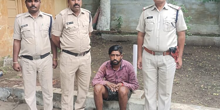आबकारी विभाग की टीम द्वारा 6 पेटी अवैध शराब सहित 34(2) के फरार आरोपी सागर चौधरी को गिरफ्तार कर न्यायिक अभिरक्षा में भेजा गया
