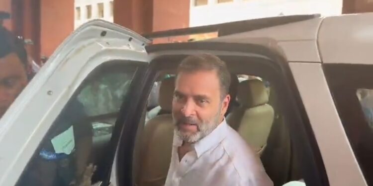 लोकसभा की संसद सदस्यता बहाल होने के पहली बार संसद भवन पहुंचे राहुल गांधी जहां उपस्थित सांसदों ने उनका जोरदार ढंग से स्वागत किया।