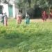 प्राध्यापक और महिला शिक्षा मित्र में हुई मारपीट मारपीट का वीडियो सोशल मीडिया पर हुआ वायरल
