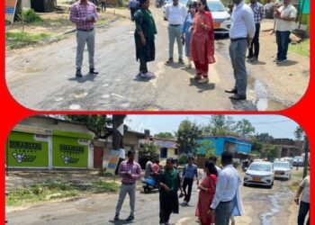 कलेक्टर ने किया पुरवा मार्ग का निरीक्षण