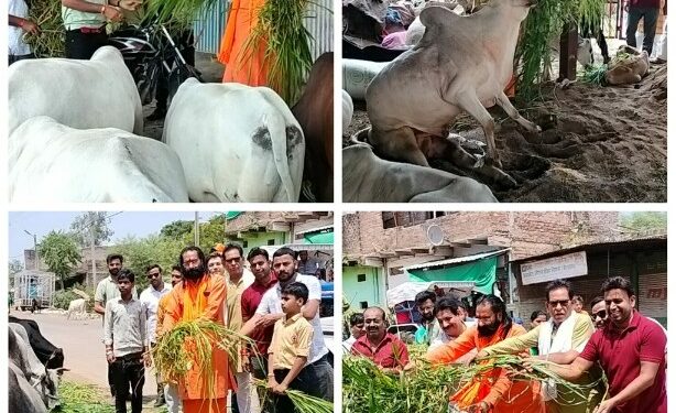 श्री रामकृष्ण रामदेव सेवा संस्थान एवं श्रीधाम बासौदा दरबार के संयुक्त तत्वाधान में……  गुरुदेव पं. हरीनारायण पाठक ने नगर में भ्रमण कर गायों को खिलाया गौ ग्रास।