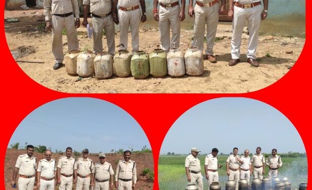 अवैध मदिरा के खिलाफ कार्यवाही जारी 460 किलोग्राम महुआ लाहन एवं 27 लीटर अवैध हाथ भट्टी मदिरा जब्त