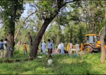 बांधवगढ टाइगर रिजर्व जंगली हाथी के हमले से घायल हथिनी लक्ष्मी की मौत