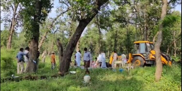 बांधवगढ टाइगर रिजर्व जंगली हाथी के हमले से घायल हथिनी लक्ष्मी की मौत