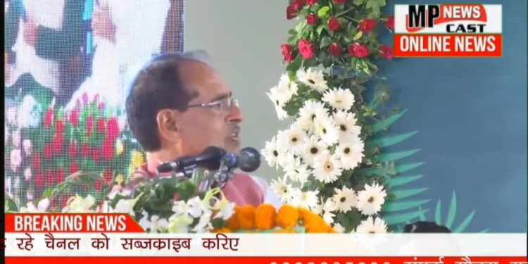 महावतों, वन रक्षकों सहित वनों की रखवाली करने वाले मित्रों को सीएम हाउस बुलाकर उनके साथ संवाद कर उनकी समस्याओं का समाधान किया जाएगा: CM