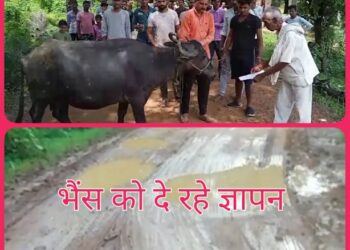 *सालों से पक्के सड़क मार्ग के लिए तरस्ते ग्रामीणो ने किया अनोखा विरोध प्रदर्शन, भैंस के आंगे बीन बजा कर दिया आवेदन*