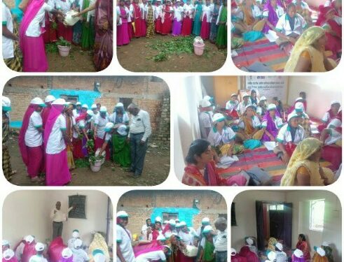 सब्जी उत्पादन एवं नर्सरी प्रबंधन का प्रशिक्षण दिया गया