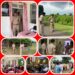 अखिलेश गौर, अनुविभागीय अधिकारी पुलिस स्लीमनाबाद द्वारा आज थाना ढीमरखेड़ा और सिलौड़ी चौकी का भ्रमण कर निरीक्षण किया गया