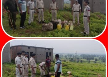 बहोरीबंद पुलिस द्वारा अवैध शराब के विरूद्ध की गई कार्यवाही