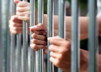 ग्राम चीचली बैरागढ, कोलार में नाबालिक 4 वर्ष के बच्‍चे की जघन्‍य सनसनीखेज हत्‍या मामलें में आरोपिया  सुनीता सोलंकी को आजीवन कारावास की सजा