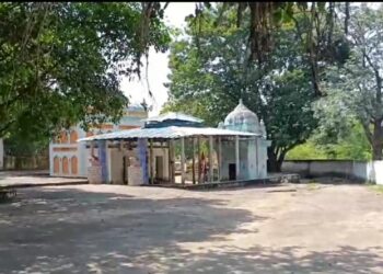 आईए देखते ऐसा मंदिर जहां पर स्वयं माता की सवारी शेर हर नवरात्रि में माता के दर्शन करने आता है