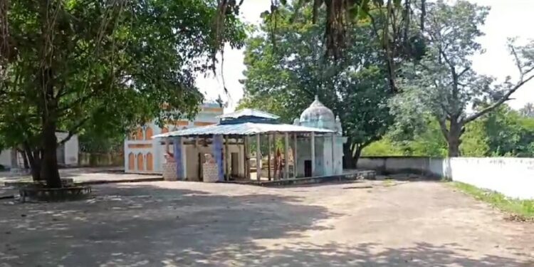 आईए देखते ऐसा मंदिर जहां पर स्वयं माता की सवारी शेर हर नवरात्रि में माता के दर्शन करने आता है