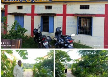 स्कूल प्रवेश करते ही नजर आया बागवानी,,,,,