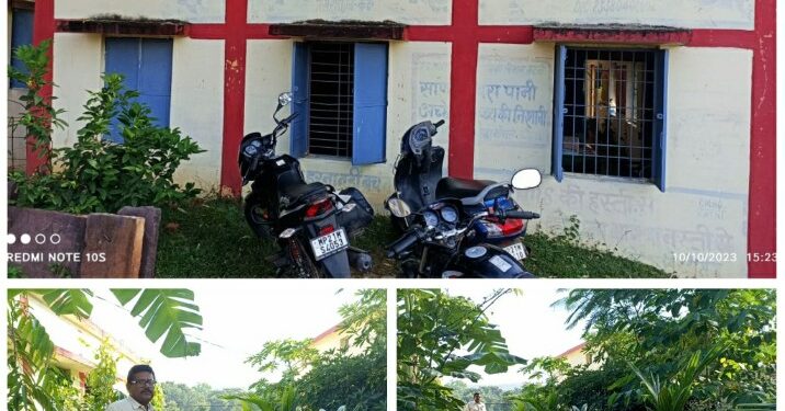 स्कूल प्रवेश करते ही नजर आया बागवानी,,,,,