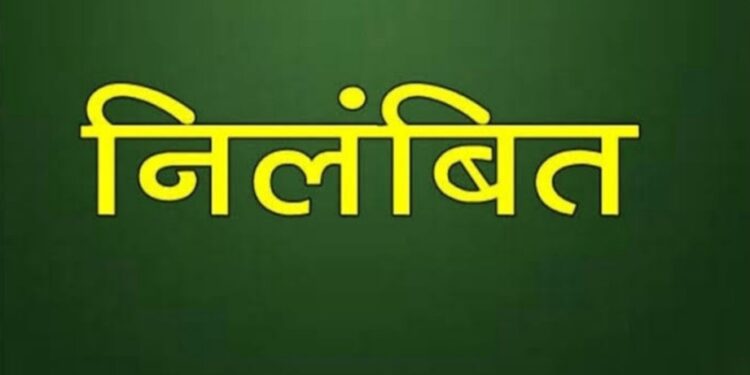 कलेक्टर ने दो शिक्षकों को किया निलंबित
