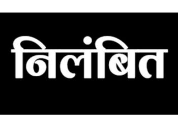 कलेक्टर ने पाँच कर्मचारियों को कार्य पर उपस्थित न होने पर किया निलंबित