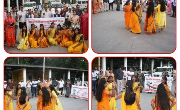 गरबा के माध्यम से दिया मतदाता जागरुकता का संदेश