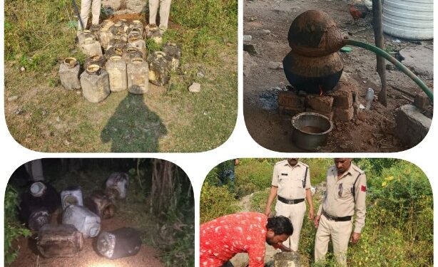 आबकारी अधिकारी अरविंद्र सागर के मार्गदर्शन में उड़ानदस्ता टीम द्वारा नर्मदापुरम,इटारसी शहर औद्योगिक क्षेत्र में अवैध शराब के विरुद्ध की गई बड़ी कार्यवाही,10 प्रकरण कायम