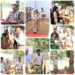 *पुलिस स्मृति दिवस : कर्तव्य पथ पर बलिदान देने वाले पुलिसकर्मियों को किया नमन*