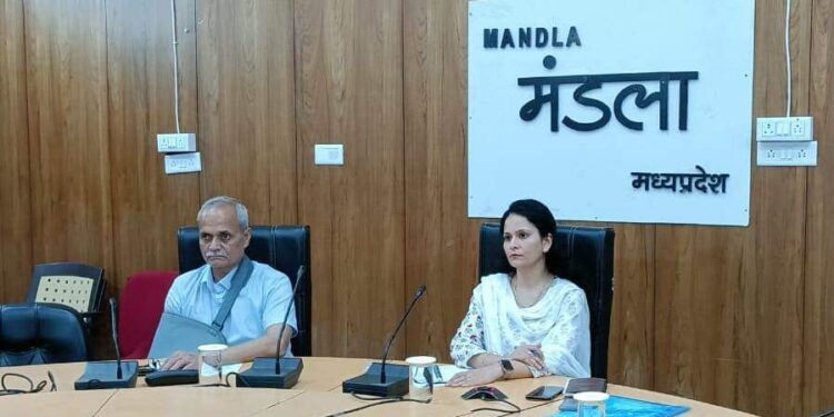 मतदाता सूची का अंतिम प्रकाशन 4 को, मतदान केन्द्रों पर होगा वाचन मुख्य निर्वाचन पदाधिकारी ने वीडियो कॉन्फ्रेसिंग से की तैयारियों की समीक्षा