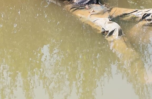 *मुरवारी के बेड़ी लाल कोल का पानी में तैरते मिला मृतक शरीर*