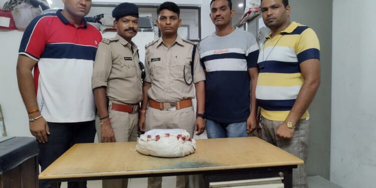 सिटी कोतवाली टीआई सौरभ पांडे के नेतृत्व में कोतवाली पुलिस द्वारा की गयी अवैध मादक पदार्थ गांजा पर कार्यवाही, कारवाई से मचा हड़कंप