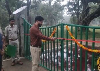 उमरिया बांधवगढ टाइगर रिजर्व में तीन माह बाद कोर जोन,ताला मगधी,खितौली में पर्यटन शुरू हुआ। 