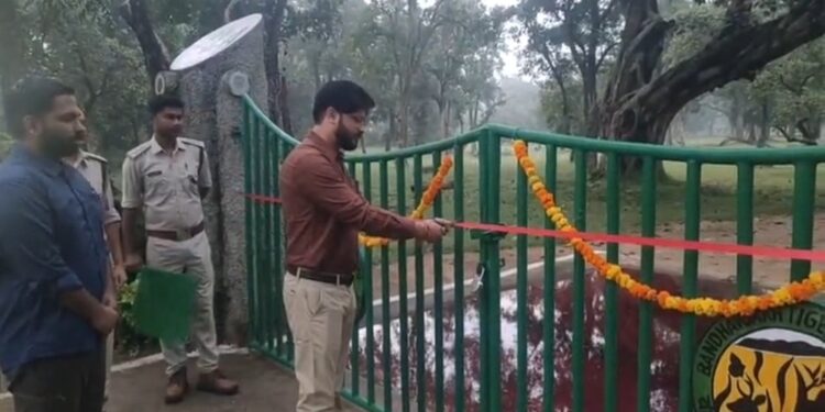 उमरिया बांधवगढ टाइगर रिजर्व में तीन माह बाद कोर जोन,ताला मगधी,खितौली में पर्यटन शुरू हुआ। 