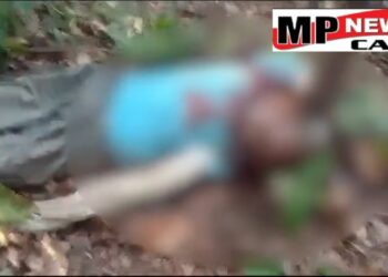 उमरिया  फिर हुआ टाइगर अटैक देखे VIDEO