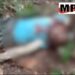 उमरिया फिर हुआ टाइगर अटैक देखे VIDEO