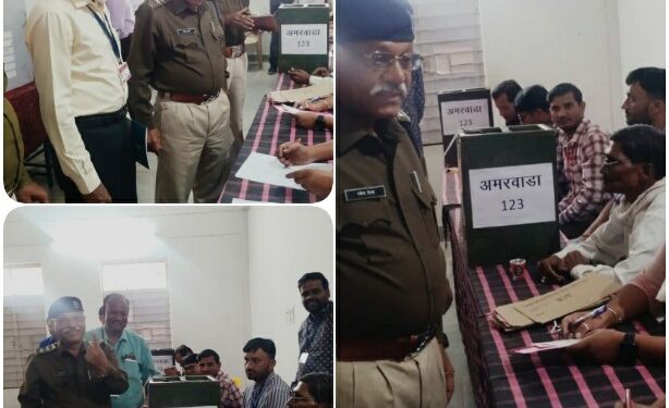 *चुनाव में तैनात अधिकारियों और कर्मचारियों ने डाक मतपत्र से डाला वोट*