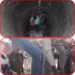 Humanity of police