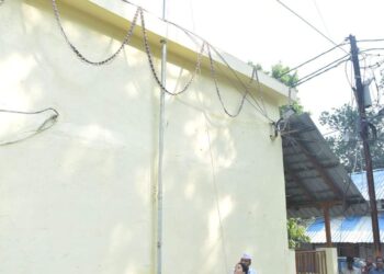 मध्यप्रदेश स्थापना दिवस पर कलेक्टर डॉ. सलोनी सिडाना ने किया ध्वजारोहण
