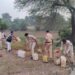 आबकारी उडनदस्ता टीम द्वारा पिपरिया एवं सिवनी मालवा सहित इटारसी में अवैध शराब के विरुद्ध प्रभावी कार्यवाही की गई, कुल अनुमानित कीमत 1,87,300/ की जप्त