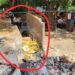 हाईकोर्ट और चुनाव आयोग के निर्देश पर मुख्यालय पर अतिक्रमण हटाने की अधूरी कार्यवाही पर उठे सवाल, याचिकाकर्ता सीताशरण पांडे की शिकायत पर हटाया जाना है नपा की दुकान का अतिक्रमण…..!