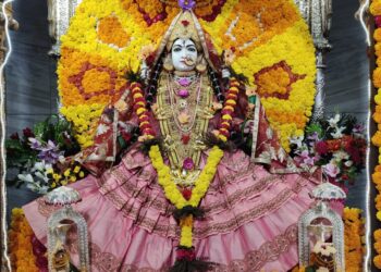*अन्नकूट पावन पर्व परमा पर मां त्रिपुरसुंदरी मैया का रंग बिरंगें फूलों से हुआ अलौकिक श्रृंगार*