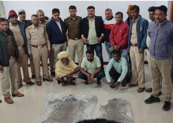 *वन विभाग बटकाखापा क्षेत्र में बड़ी कार्यवाही…2 तेंदुए की खाल सहित 3 संदिग्ध आरोपी गिरफ्तार…पूछताछ जारी*