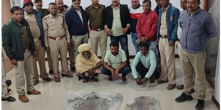 *वन विभाग बटकाखापा क्षेत्र में बड़ी कार्यवाही…2 तेंदुए की खाल सहित 3 संदिग्ध आरोपी गिरफ्तार…पूछताछ जारी*