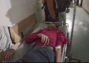 भैंस से बाइक टकराने से दो लोग हुए घायल एक जिला अस्पताल के लिए रेफर,,,